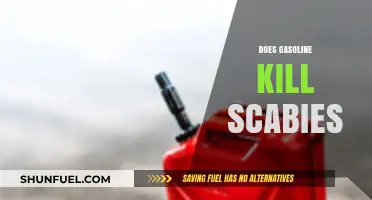 Effective Scabies Treatments: Does Gasoline Really Work?