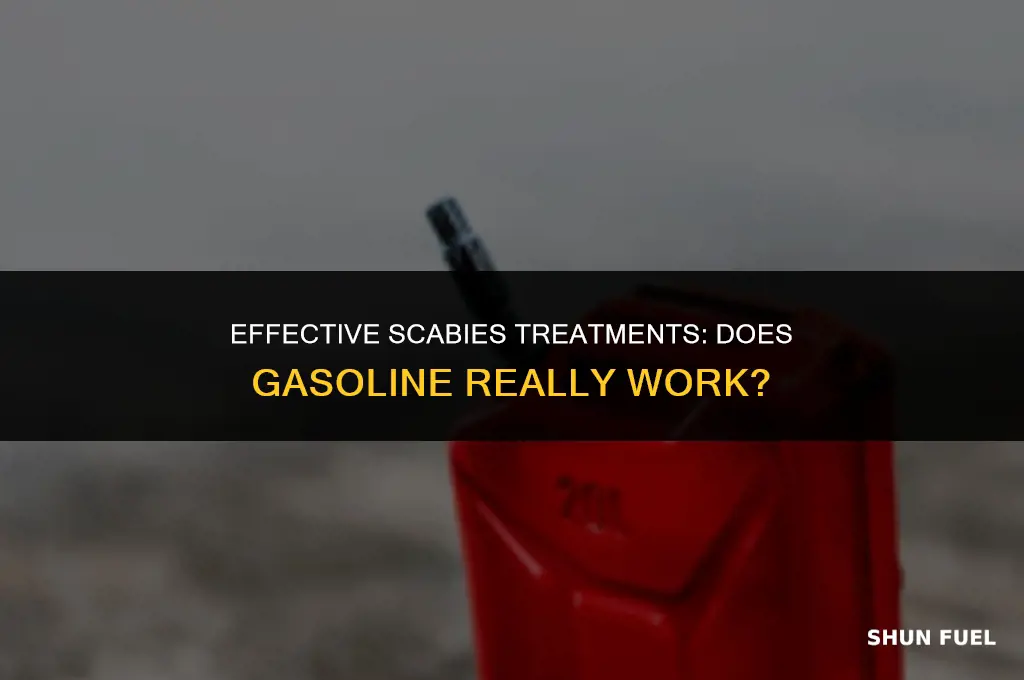 does gasoline kill scabies