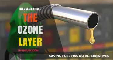 The Impact of Gasoline on the Ozone Layer: A Comprehensive Analysis