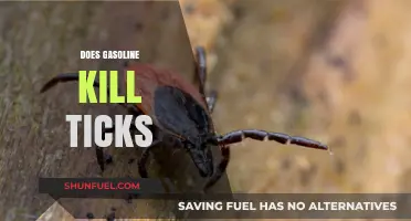 Will Gasoline Kill Ticks? The Surprising Truth Revealed