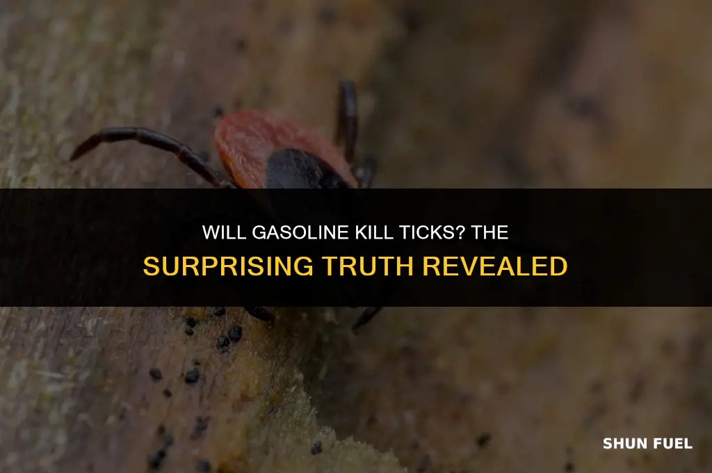 does gasoline kill ticks