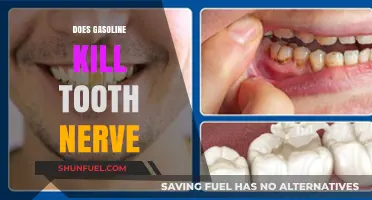 Exploring the Effects of Gasoline on Tooth Nerve Health