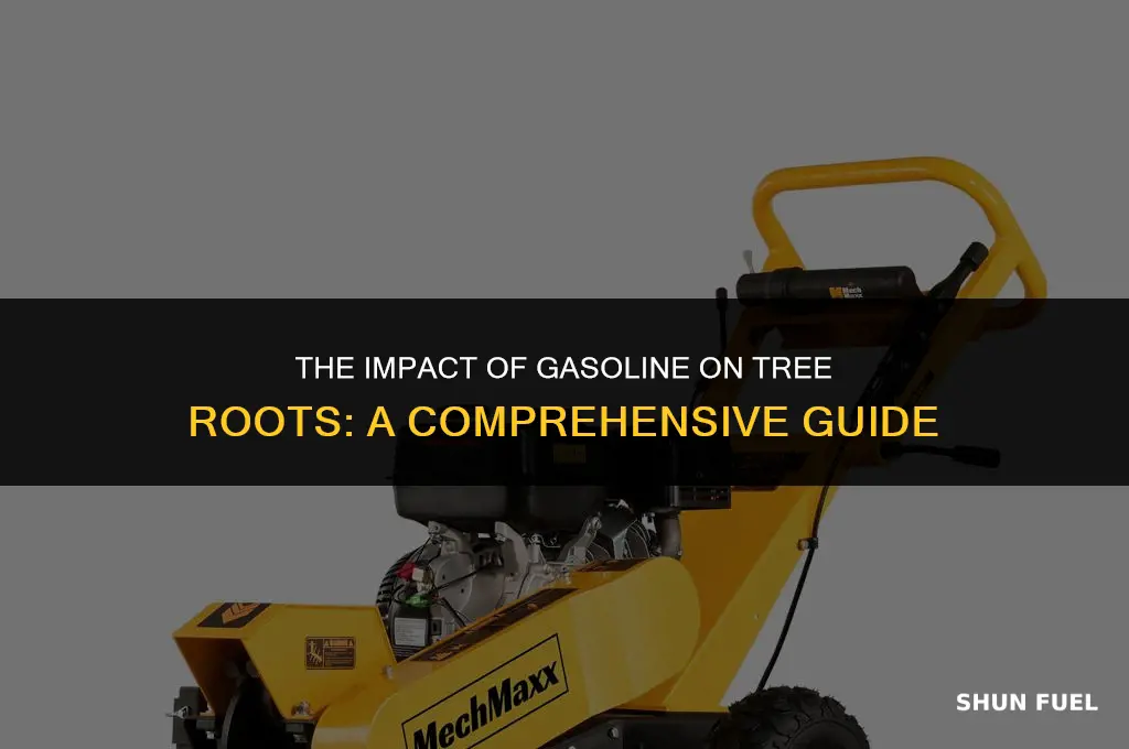 does gasoline kill tree roots