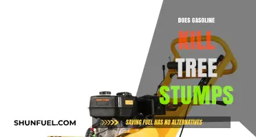 The Surprising Truth About Gasoline and Tree Stump Removal