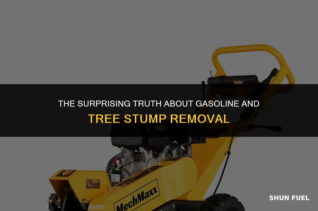does gasoline kill tree stumps