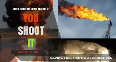 Explosive Insights: The Flammability of Gasoline When Shot