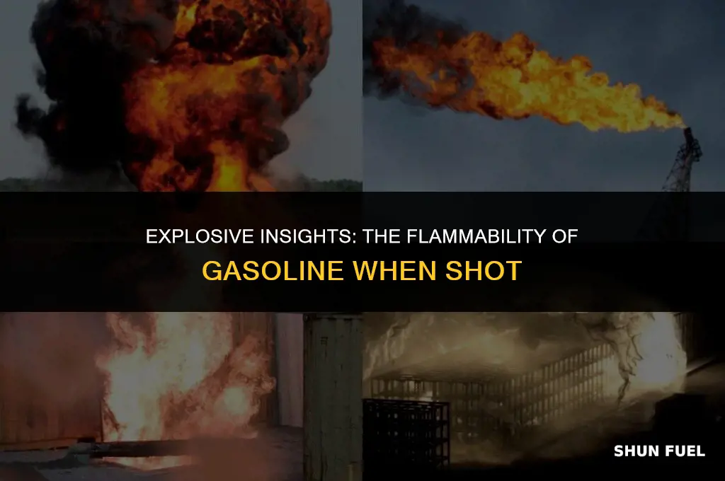 does gasoline light on fire if you shoot it
