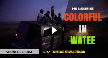 Exploring the Rainbow Effect: Gasoline's Colorful Appearance in Water