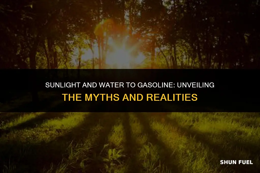 does gasoline made from sunlight and water really exist