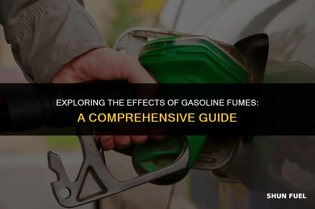 does gasoline make you high