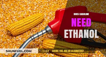 Exploring the Ethanol Debate: Is It Essential in Gasoline?