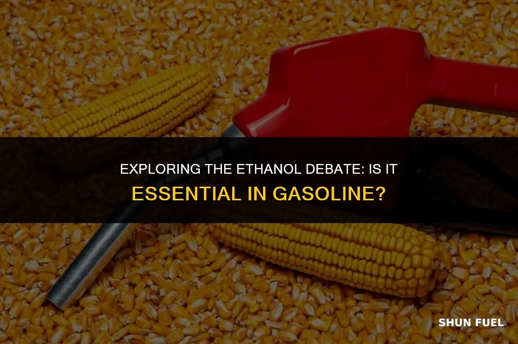 does gasoline need ethanol