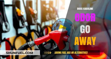 Eliminating Gasoline Odor: Effective Solutions for a Fresh Environment