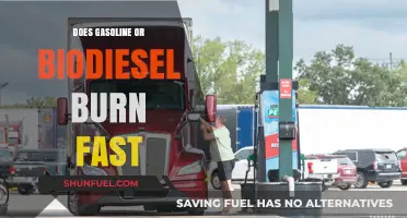 Exploring Fuel Efficiency: Gasoline vs. Biodiesel Burn Rates