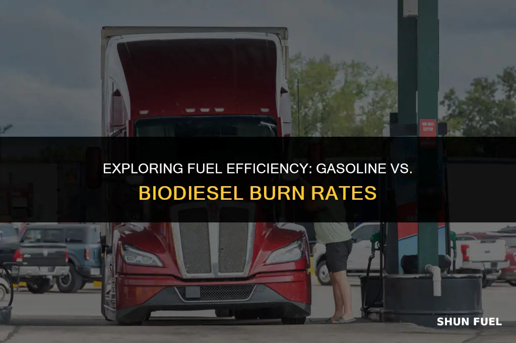 does gasoline or biodiesel burn fast