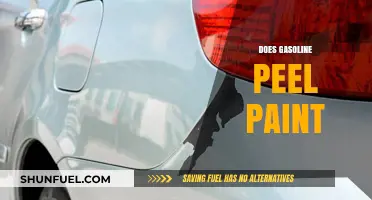 Exploring the Effects of Gasoline on Paint Surfaces