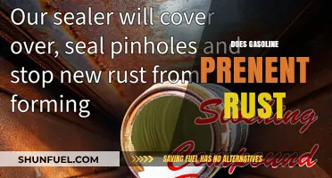 Exploring the Rust-Preventing Properties of Gasoline: Facts and Myths