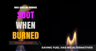 Exploring the Sooty Side of Gasoline Combustion: Facts and Myths