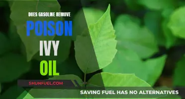 Does Gasoline Remove Poison Ivy Oil? Facts and Myths
