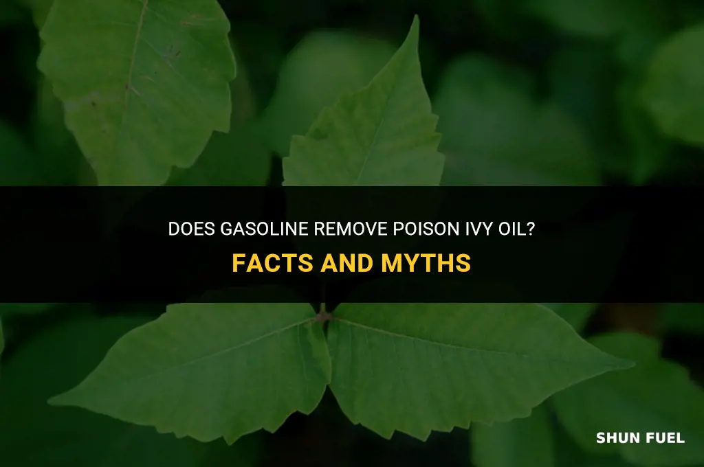 does gasoline remove poison ivy oil