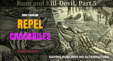 Exploring Myths: Does Gasoline Really Repel Crocodiles?