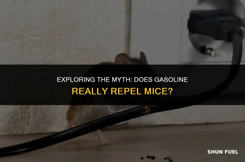does gasoline repel mice