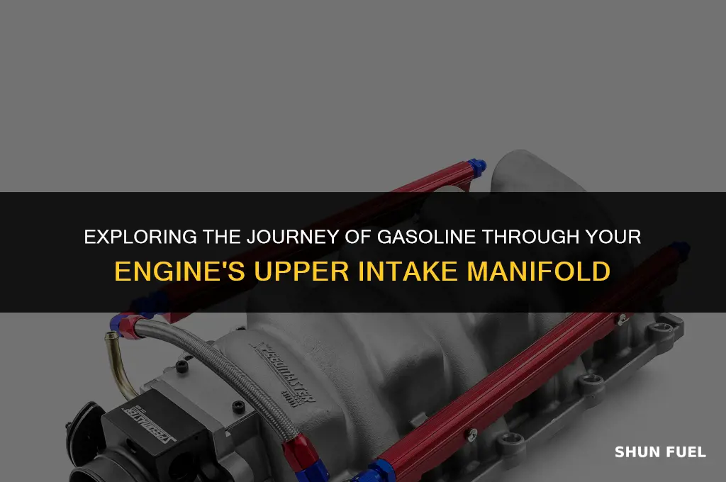 does gasoline run through upper intake manifold
