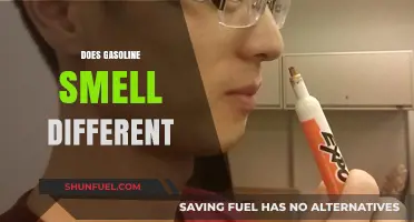 Exploring the Nuances: Does Gasoline Really Smell Different?