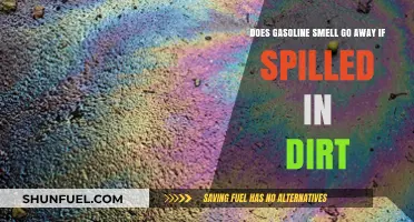 Eliminating Gasoline Odor: Does Spilling on Dirt Really Help?