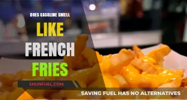 The Surprising Connection: Gasoline and French Fries Share a Scent