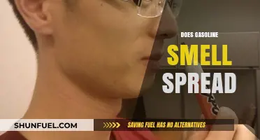 Unleashing the Truth: Does Gasoline's Pungent Aroma Propagate?