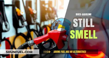 The Lingering Essence: Does Gasoline Still Emit Its Signature Scent?