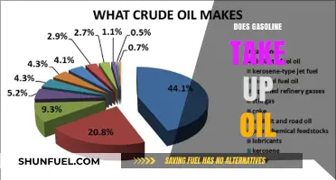 Exploring the Relationship Between Gasoline and Oil Consumption