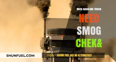Decoding Emissions: Do Gasoline Trucks Require Smog Checks?