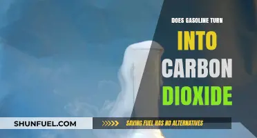 The Surprising Journey of Gasoline: From Fuel to Carbon Dioxide
