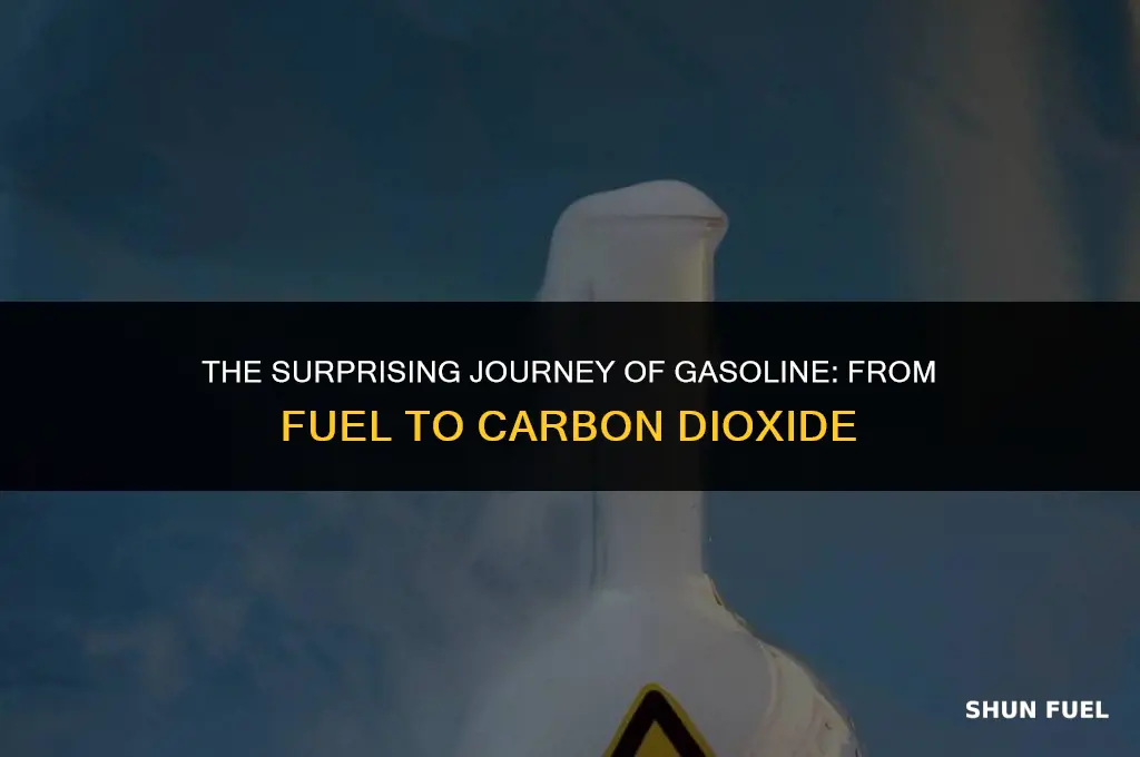does gasoline turn into carbon dioxide