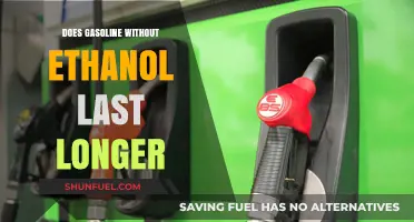 Exploring the Durability of Ethanol-Free Gasoline: A Comprehensive Guide