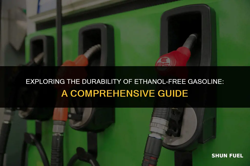 does gasoline without ethanol last longer
