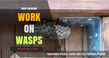 Will Gasoline Take Care of Your Wasp Problem?