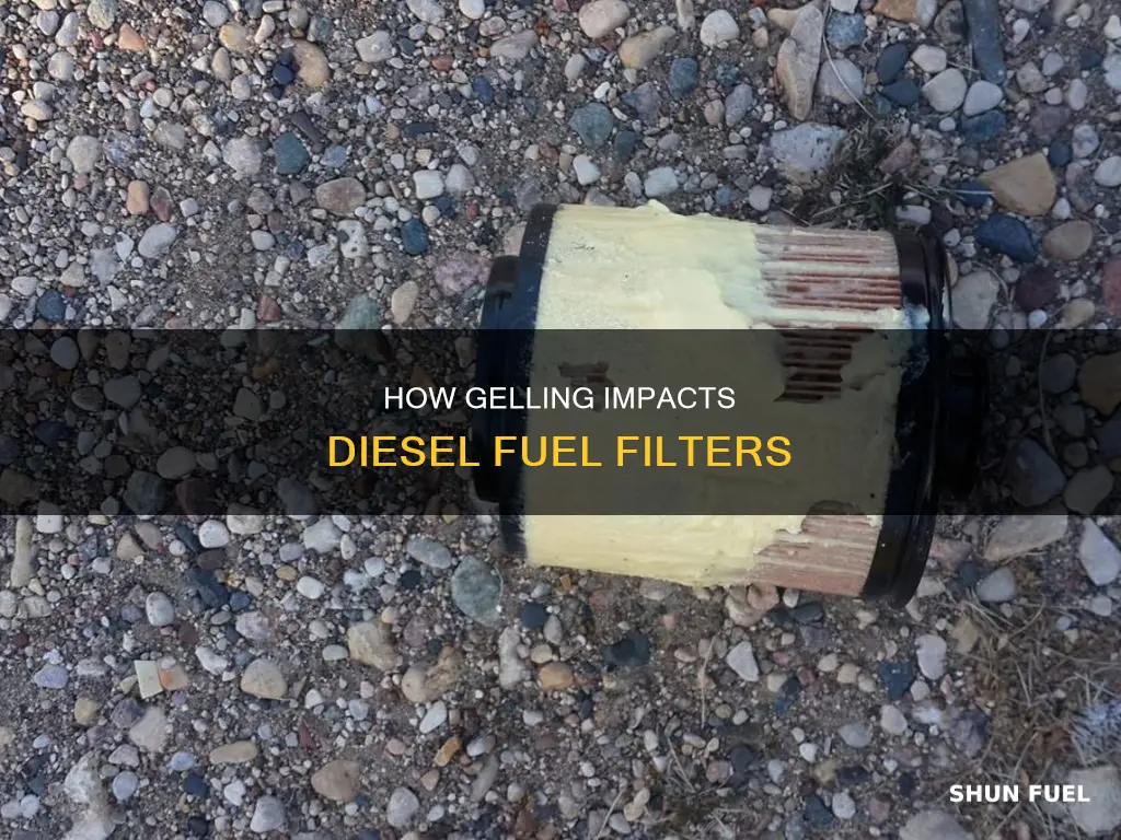 does gelling ruin a diesel fuel filter