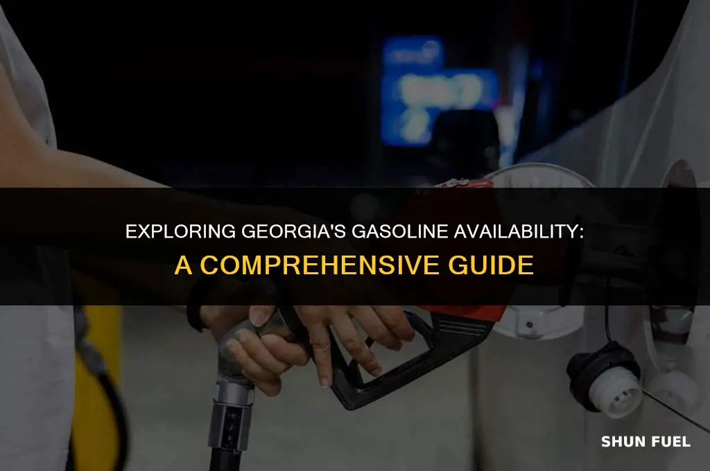 does georgia have gasoline