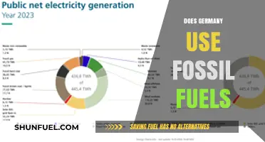 Germany's Energy Mix: Fossil Fuels and Beyond