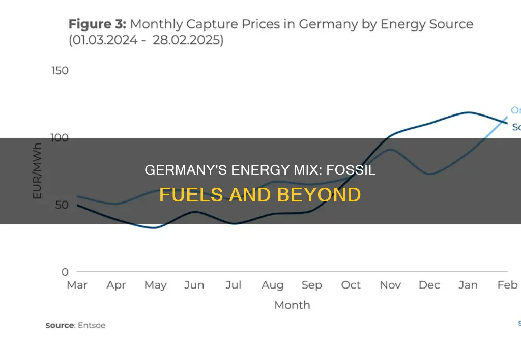 does germany use fossil fuels