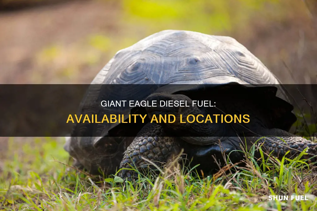 does giant eagle have diesel fuel