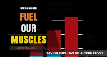 Glycogen's Role: How This Carbohydrate Powers Muscle Performance
