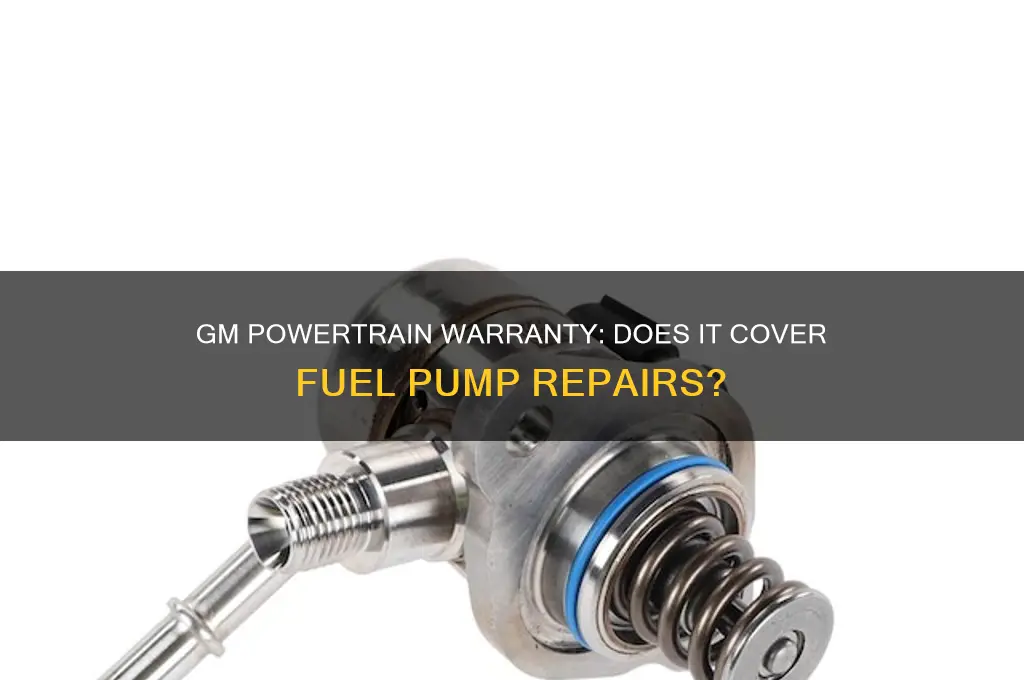 does gm powertrain warranty cover fuel pump