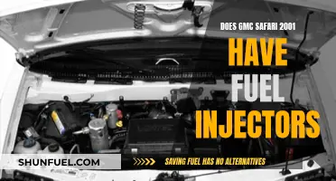 GMC Safari 2001: Fuel Injectors or Not?