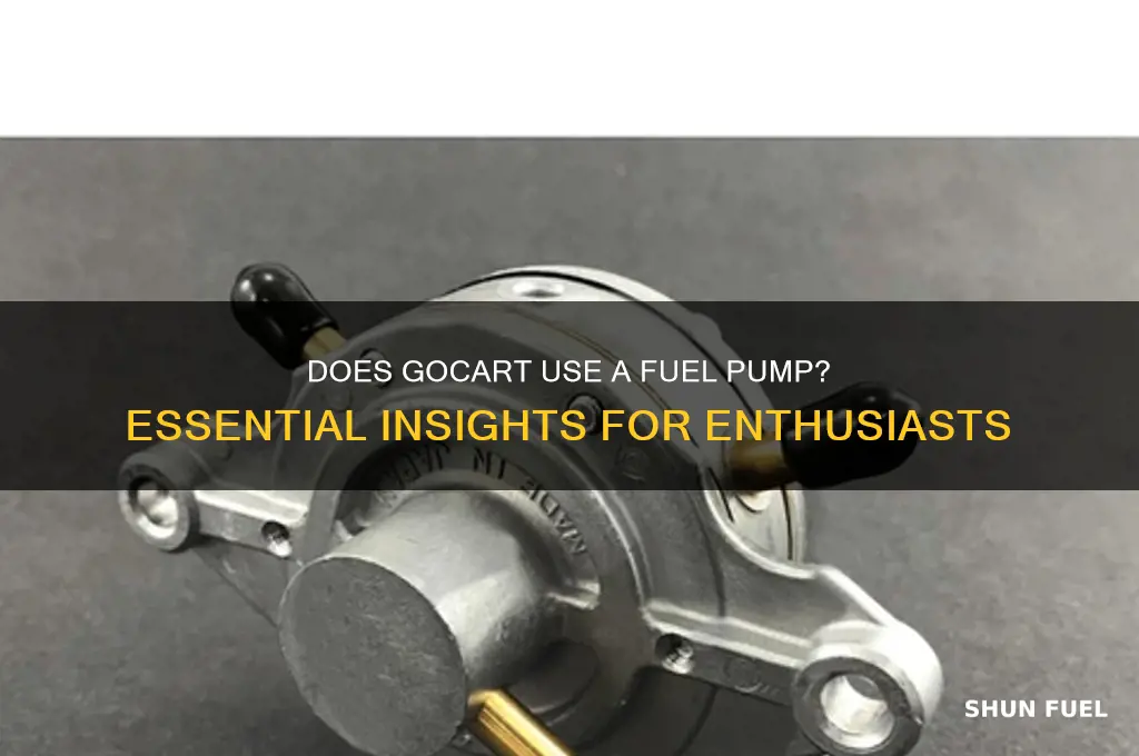 does gocart have a fuel pump