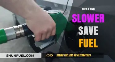 Slowing Down to Save Fuel: Fact or Fiction?