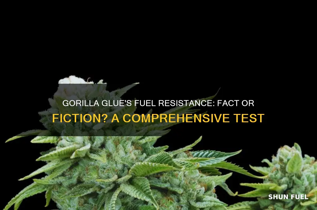 does gorilla glue resist fuel